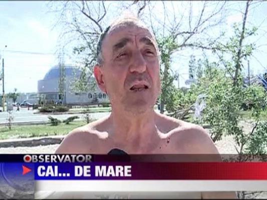 Cu caii la scaldat in mare