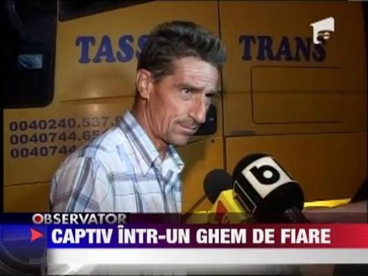 Captiv intr-un ghem de fiare