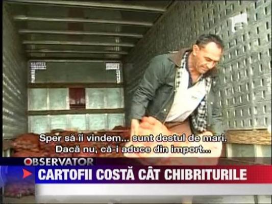 Cartofii costa cat chibriturile, in Brasov