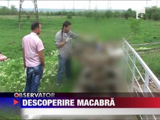 Descoperire macabra in Neamt