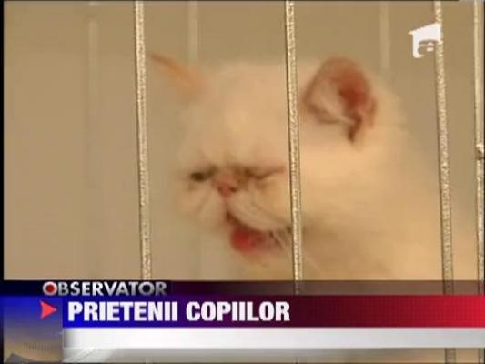 Expozitie de animale de companie, la Iasi