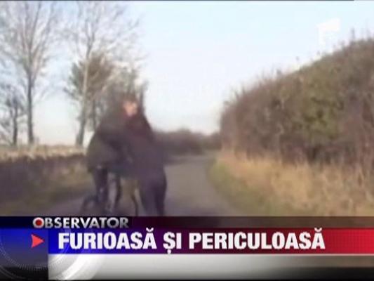 Marea Britanie: O femeie loveste cu pumnii un biciclist