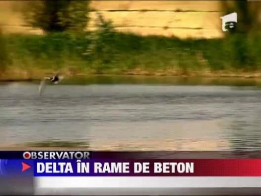 Delta intre cartierele Bucurestiului