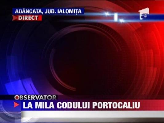 UPDATE / Cod portocaliu de vijelii si ploi torentiale in 11 judete si Bucuresti