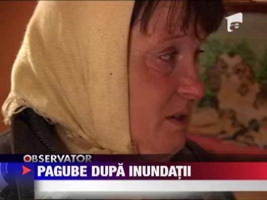 Sute de hectare de culturi inecate de torenti