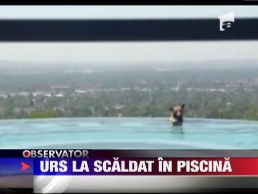 Urs la scaldat in piscina