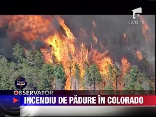 Incendiu devastator in nordul statului american Colorado