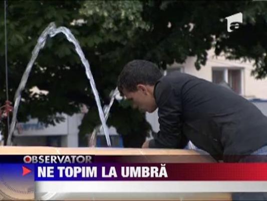 Canicula ii "topeste" pe romani