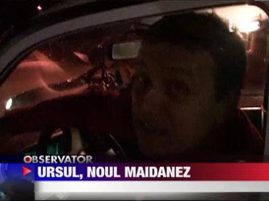 Ursii au invadat pubelele de gunoi de pe Valea Prahovei