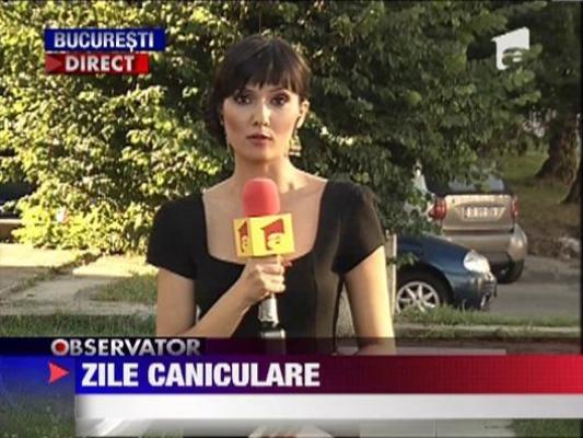 Urmeaza o saptamana caniculara