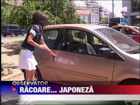 Vezi aici solutie rapida prin care temperatura din masina poate fi redusa cu aproape 10!