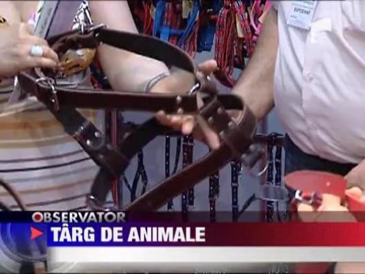 Targ de animale