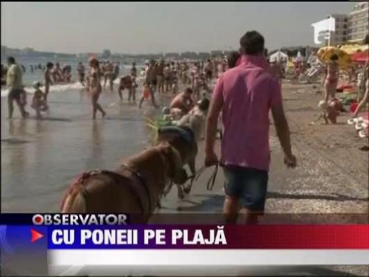 Cu poneii pe plaja