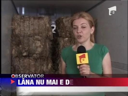 Lana de oaie nu mai este o afacere banoasa