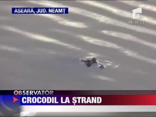 Roman: Un crocodil a fost recuperat din apa unui strand