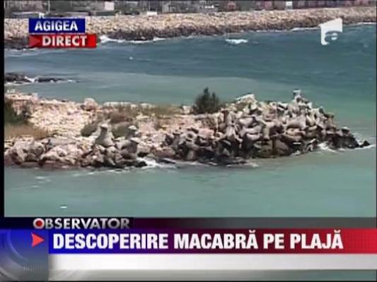 Descoperire macabra pe o plaja neamenajata din Agigea