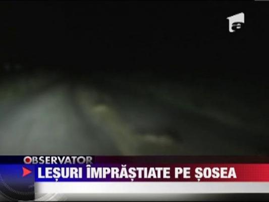 Tone de gunoaie si resturi de animale imprastiate pe DN 15