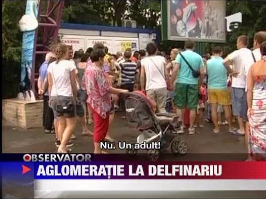 Aglomeratie la Delfinariul din Constanta