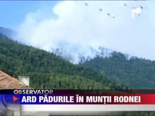 Seceta si vantul au reaprins padurile din Muntii Rodnei