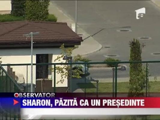 Sharon Stone, pazita ca un presedinte