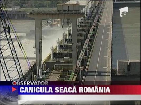 Canicula seaca Romania