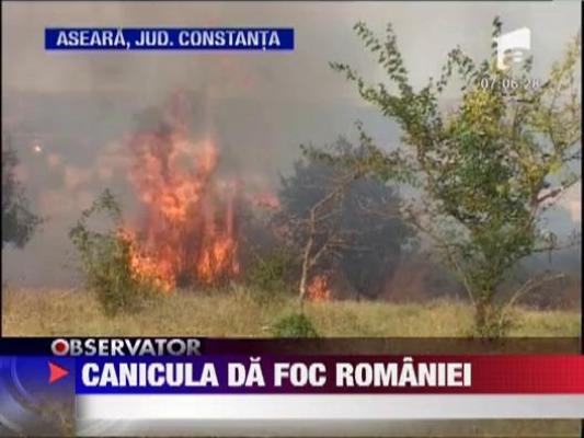 Incendiile continua sa mistuie padurile din Romania