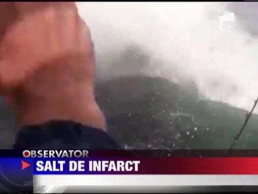 O balena a fost la un pas plonjeze in barca unor pescari