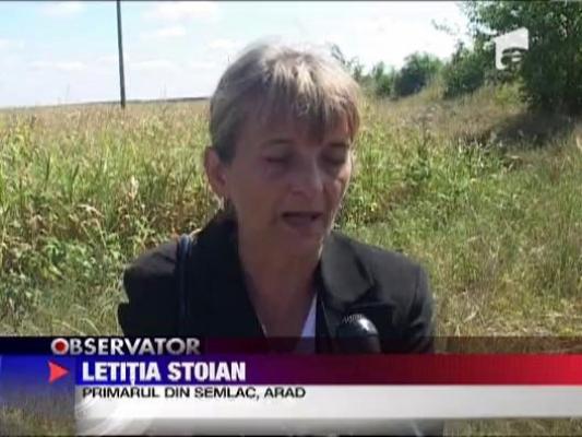 Culturile din Arad sunt distruse de seceta, desi prin judet trece un canal de irigatii