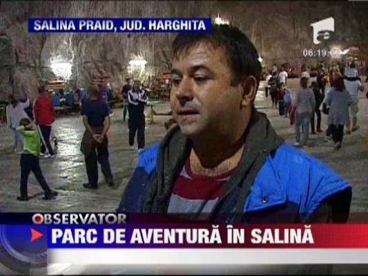 Parc de aventura in salina
