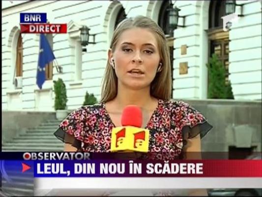 Efectele deciziei CCR: Leul s-a depreciat