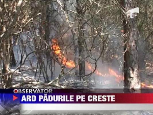 Padurile s-au aprins din nou in tara!