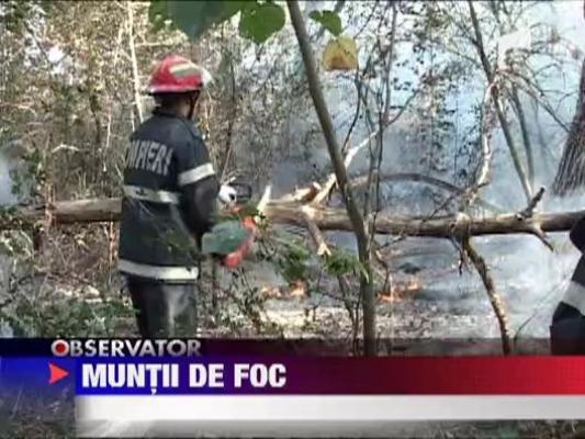 Zeci de hectare de padure s-au reaprins in masivul Fagaras