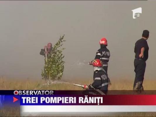 Incendiile de vegetatie din Baia Mare fac victime in randul pompierilor