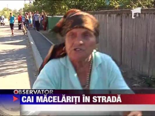 Cruzime animalica intr-un sat din Galati