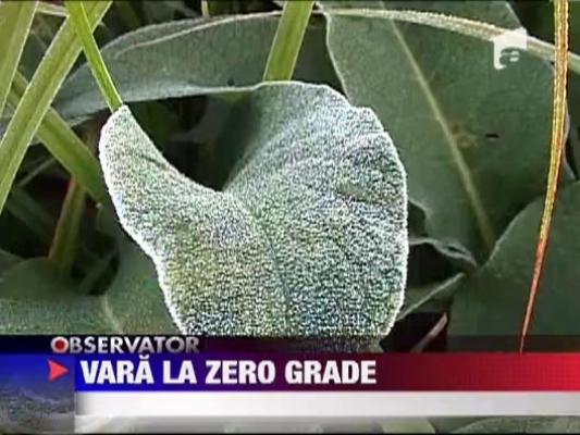 0 grade la Miercurea Ciuc