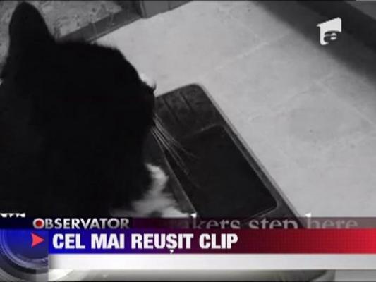 Cel mai reusit clip