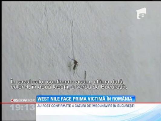 Virusul West Nile face victime in Romania