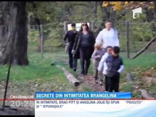 In intimitate, Brad Pitt si Angelina Jolie isi spun "Pisicuto" si "Iepurasule"