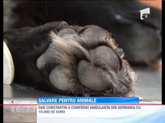 Ambulanta veterinara, la Timisoara