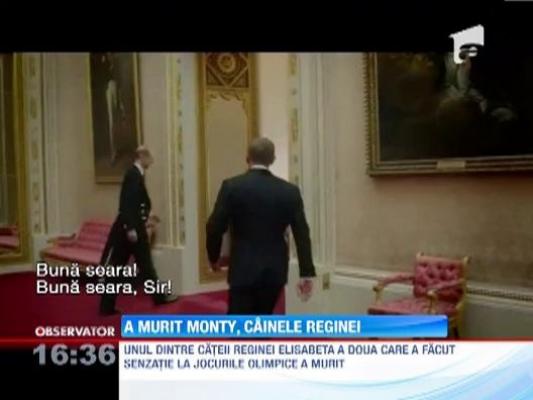 Doliu la Palatul Buckingham! Unul dintre cainii Reginei Elisabeta a doua a murit