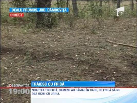 Ursul care a ucis un om si a ranit alti doi era turbat