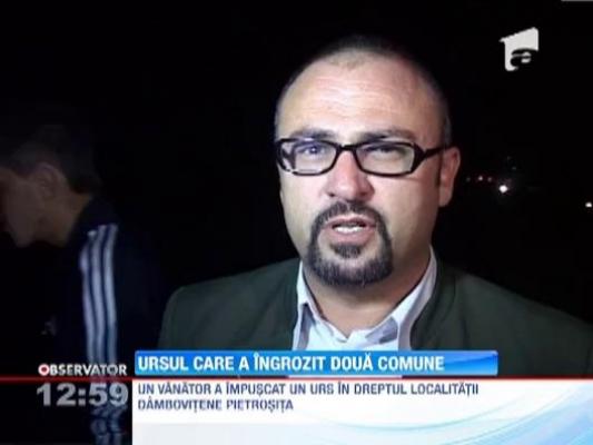 Vanatorii au impuscat alt urs, nu pe cel care a ingrozit doua comune dambovitene