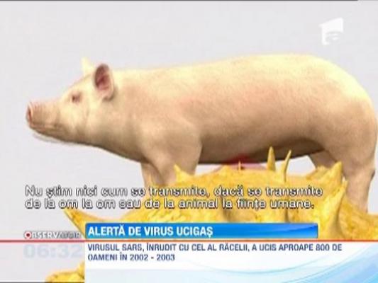 Un nou virus pune in alerta Organizatia Mondiala a Sanatatii