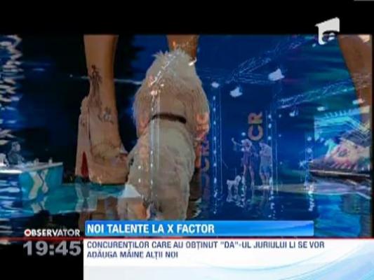 Noi talente la X Factor