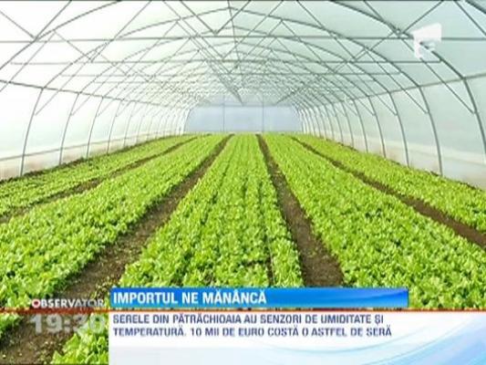 Romania este in topul tarilor care cumpara cele mai multe legume de la straini