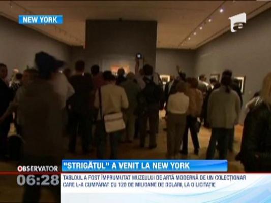 Unul dintre cele mai scumpe tablouri din lume, "Strigatul", expus la New York