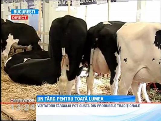 Cel mai mare targ de agricultura din Romania si-a deschis portile