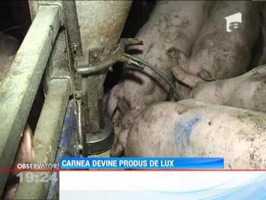 Producatorii anunta scumpiri la carnea de porc