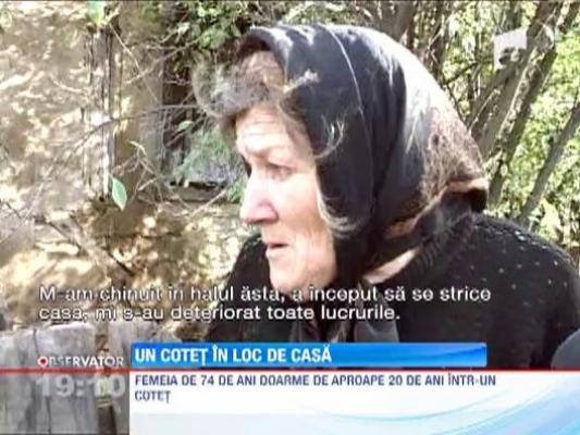 O batrana din Bistrita-Nasaud a ajuns sa locuiasca intr-un cotet de porci