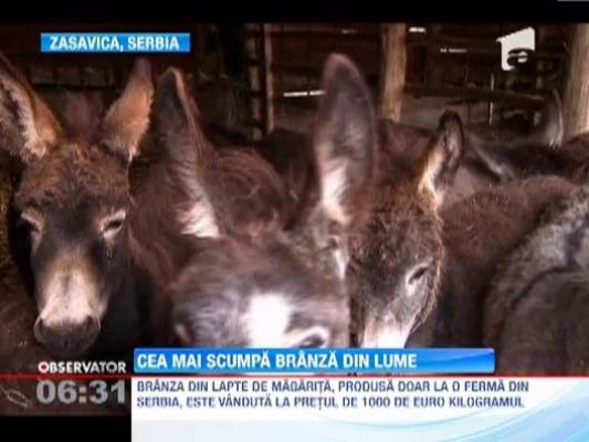 Cea mai scumpa branza din lume se gaseste intr-o rezervatie naturala din Serbia